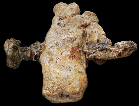 Jehohanan's_Heel_Bone